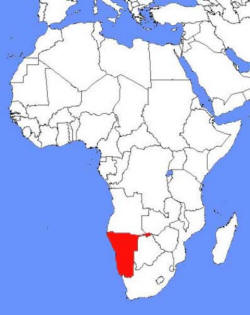 Steenbok Africa