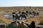 African safari sights